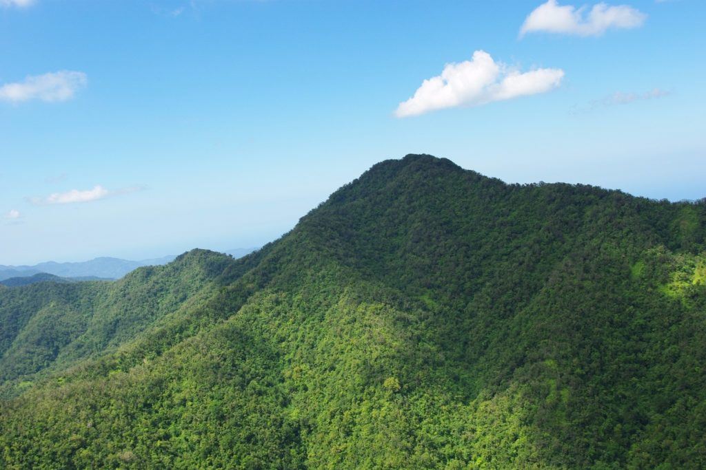blue-mountain-world-heritage-site-jamaica