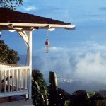 Strawberry Hill Jamaica Deluxe Rooms